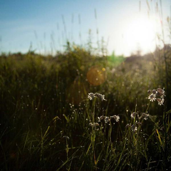 The Wedding Film Instagram photograph 2